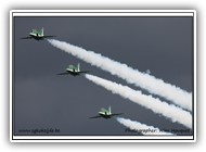 Saudi Hawks_12